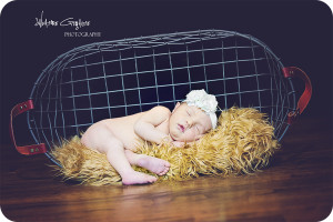 Bergen County Wyckoff New Jersey Newborn Photographer